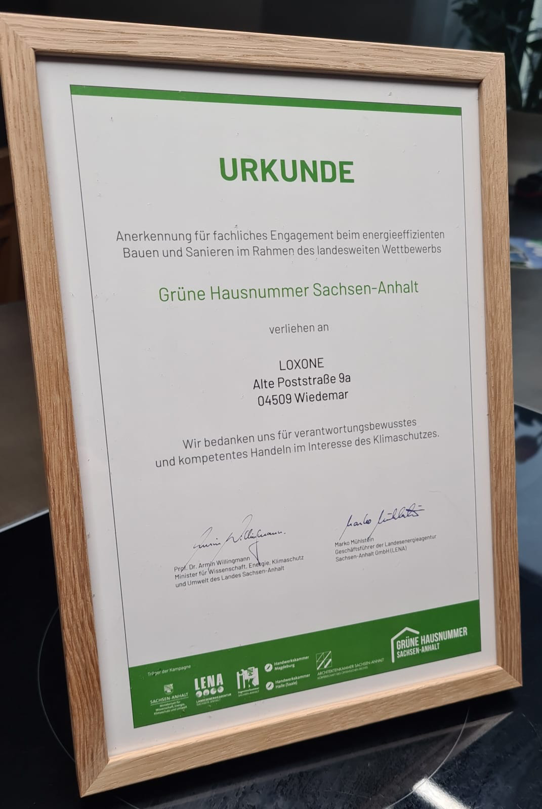 LED-Unterbau-Spots RGBW-Tree (Rot-Gelb-Grün-Weiß)